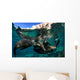 California Sea Lions Playing Wall Decal Design 12
