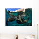 California Sea Lions Playing Wall Decal Design 12