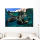 California Sea Lions Playing Wall Decal Design 12