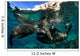 California Sea Lions Playing Wall Decal Design 12