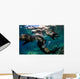 California Sea Lions Playing Wall Decal Design 11