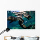 California Sea Lions Playing Wall Decal Design 11