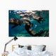 California Sea Lions Playing Wall Decal Design 11