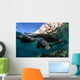 California Sea Lions near Wall Decal