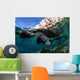 California Sea Lions near Wall Decal