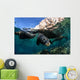 California Sea Lions near Wall Decal