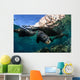 California Sea Lions near Wall Decal