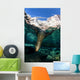 California Sea Lion Playing Wall Decal Design 10