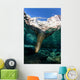 California Sea Lion Playing Wall Decal Design 10