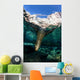 California Sea Lion Playing Wall Decal Design 10