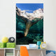 California Sea Lion Playing Wall Decal Design 10