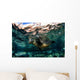 California Sea Lion Playing Wall Decal Design 9