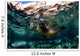 California Sea Lion Playing Wall Decal Design 9