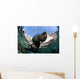 California Sea Lion Playing Wall Decal Design 8
