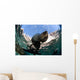 California Sea Lion Playing Wall Decal Design 8