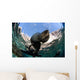 California Sea Lion Playing Wall Decal Design 8
