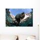 California Sea Lion Playing Wall Decal Design 8