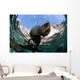 California Sea Lion Playing Wall Decal Design 8