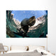 California Sea Lion Playing Wall Decal Design 8