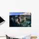 California Sea Lioncalifornia Sea Wall Decal