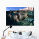 California Sea Lioncalifornia Sea Wall Decal