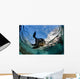 California Sea Lion Playing Wall Decal Design 7
