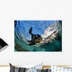 California Sea Lion Playing Wall Decal Design 7