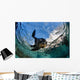 California Sea Lion Playing Wall Decal Design 7