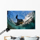 California Sea Lion Playing Wall Decal Design 7