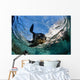 California Sea Lion Playing Wall Decal Design 7
