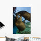 California Sea Lions Playing Wall Decal Design 10