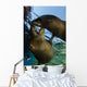 California Sea Lions Playing Wall Decal Design 10