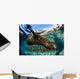 California Sea Lion Swimming Wall Decal