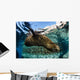 California Sea Lion Swimming Wall Decal