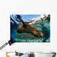 California Sea Lion Swimming Wall Decal