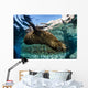 California Sea Lion Swimming Wall Decal