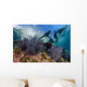 California Sea Lions Swimming Wall Decal