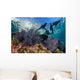 California Sea Lions Swimming Wall Decal