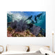 California Sea Lions Swimming Wall Decal