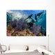 California Sea Lions Swimming Wall Decal