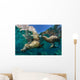 California Sea Lions Playing Wall Decal Design 9