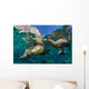 California Sea Lions Playing Wall Decal Design 9