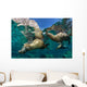 California Sea Lions Playing Wall Decal Design 9