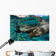 California Sea Lions Playing Wall Decal Design 7