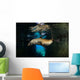 California Sea Lion Playing Wall Decal Design 6