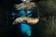 California Sea Lion Playing Wall Decal Design 6