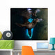 California Sea Lion Playing Wall Decal Design 5