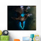 California Sea Lion Playing Wall Decal Design 5