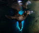 California Sea Lion Playing Wall Decal Design 5