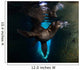 California Sea Lion Playing Wall Decal Design 5